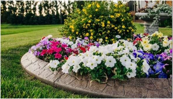 Improve Curb Appeal With Updated Siding